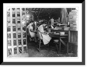 Girls working in Tampa, Fla., Box Factory. I saw 10 small boys and girls. Has had reputation for employment of youngsters but work is slack now. Jan. 28, 1909. Location: Tampa, Florida. Heritage Wa