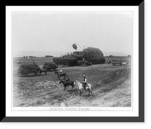 Historic Framed Print, Buena Vista Farm,  17-7/8" x 21-7/8"