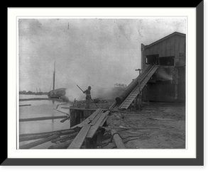 African American guiding log from water onto saw mill ramp, Newport News, Va., 1900, Antique Poster