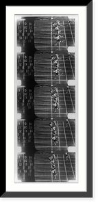 Results of photo-timing by Zeiss-Ikon, AG, at the 1936 Olympic games, Berlin. Womens' 80 meter hurdles, Historic Print