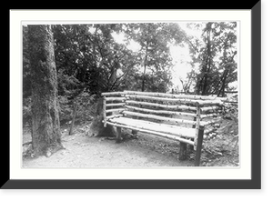 Yasnaya Polyana, Russia. 1960: Tolstoi's bench in little fir trees"", Antique Print