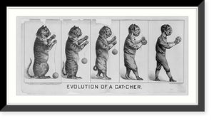 Evolution of a cat-cher.lith. H.S. Crocker & Co., S.F. Classic, Historic Reproduction
