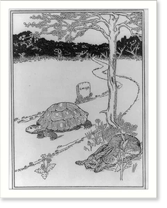 Vintage Photo Print - The tortise passing the sleeping hare near