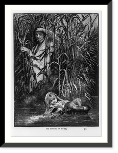 Moses being found in the bullrushes; 2 very similar engravings: the find-ing of Mo-ses" p. 93" Classic, Vintage Wall Art