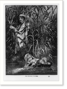 Historic Photo Print - Moses being found in the bullrushes