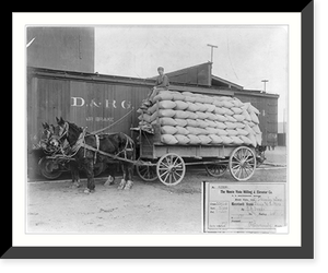 Horse-drawn wagon loaded with 175 sacks of wheat beside freight car, Historic Reproduction