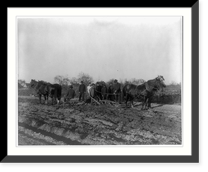 American Indian and African American students at Hampton Institute, Hampton, Va. 1900(?) - men and women learning how to plow field, Vintage Print