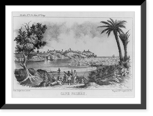Liberia - Harper Cape Palms"" Classic, Antique Wall Art