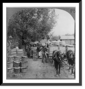 Grand Ca&ntilde;on; Sheavwitz Crossing, Historic Print