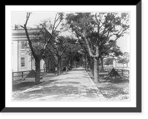 Historic Framed Print, [Pensacola Navy Yard: Central Ave.],  17-7/8" x 21-7/8"