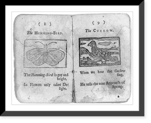 Cock Robin's Death and Funeral (Boston, 1780): copy negatives of all ten pages: pp. 8 & 9, Vintage Wall Art