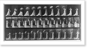 Historic Photo Print - Animal locomotion. Plate 461