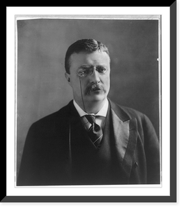 Historic Framed Print, [Theodore Roosevelt, bust portrait, facing slightly right],  17-7/8" x 21-7/8"