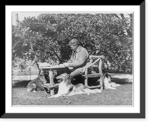 Albert Payson Terhune, 1872-1942, full-length portrait, seated at desk outdoors, with 3 collies, Historic Reproduction