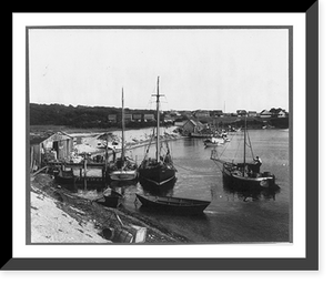 Small craft at anchor, Vineyard Haven, Mass, Antique Wall Art