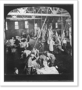 Vintage Building Photo - Chicago - Meat Packing Industry (1)