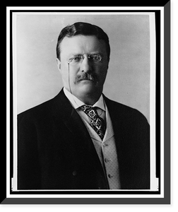 Historic Framed Print, [Theodore Roosevelt, head-and-shoulders portrait, facing front],  17-7/8" x 21-7/8"