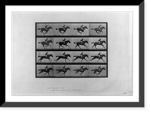 Animal locomotion - 16 frames of racehorse Annie G." galloping", Antique Print