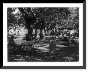 Historic Framed Print, Old Huguenot Cemetery, St. Augustine, Fl.,  17-7/8" x 21-7/8"