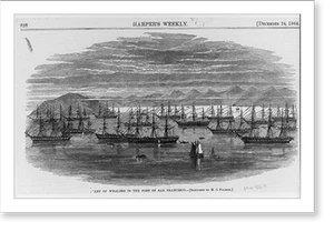 Vintage Photo Print - San Francisco - Fleet of whalers in the port