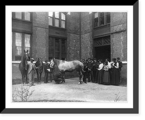 African American students judging horses - Hampton Institute, Historic Reproduction