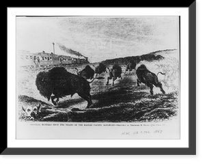 Vintage Railroad - Buffalo - Shooting from the trains of the Kansas