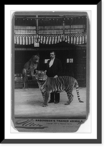 Hagenbeck's trained animals, Vintage Print