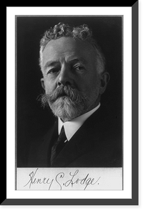 Historic Framed Print, [Henry Cabot Lodge, 1850-1924, head and shoulders portrait, facing slightly left],  17-7/8" x 21-7/8"