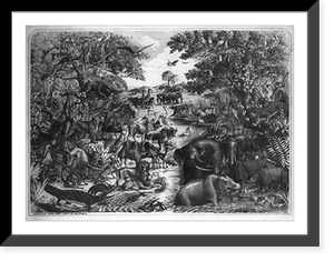 Animals for Noah's ark, Historic Print