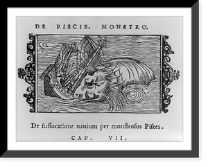 De piscib. Monstro. De suffocatione nauium per monstrosos pisces. Cap. VII, Vintage Print