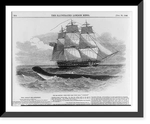 Antique Maritime - The great sea serpent - Historic Wall Art Gift