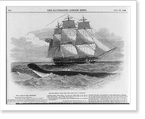 Antique Maritime - The great sea serpent - Historic Wall Art Gift