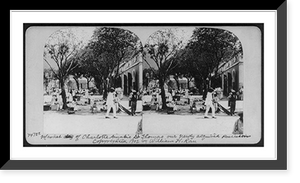 St. Thomas, Virgin Islands: Market of Charlotte Amalie in St. Thomas, our newly acquired possession, Historic Print