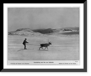 Ski-driving with reindeer on the mountains Classic, Antique Print