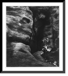 Historic Framed Print, Rock and plant, Ontario,  17-7/8" x 21-7/8"