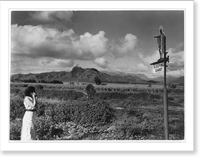 Vintage Landscape - Island of Kauai, Hawaii: Sleeping giant