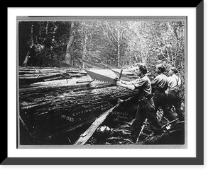 Historic Framed Print, Cascade Mountains, near Seattle, Wash.: [Cutting shingle bolts],  17-7/8" x 21-7/8"