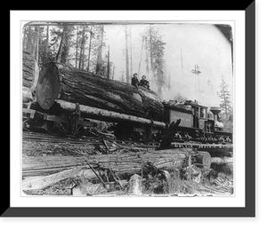 Washington logging train going down a mountain, on which are logs from a fir tree 12 feet in diameter, Vintage Wall Art
