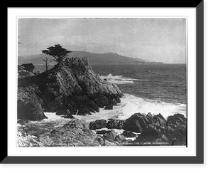 Historic Framed Print, Midway Point, 17 Mile Drive, Monterey [Calif.],  17-7/8" x 21-7/8"