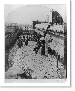 Historic Industry - Charleston - African Americans working (2)