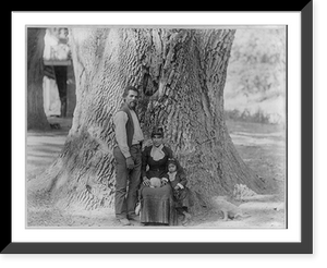 Gigantic oak tree on the Tejon Ranch, Kern county, Calif.; Indian man, woman and small girl in front of the tree, Antique Poster