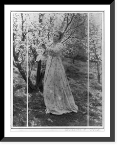 Historic Framed Print, [Spring. A triptych (Letitia Felix), Newark, Ohio],  17-7/8" x 21-7/8"