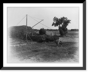 Historic Framed Print, [Kern County, California]: Bellevue Ranch. Stacking alfalfa hay,  17-7/8" x 21-7/8"