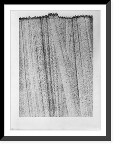 Historic Framed Print, [Reeds],  17-7/8" x 21-7/8"