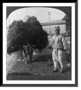 Historic Framed Print, Korean farmer with load of grass for market,  17-7/8" x 21-7/8"