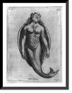 Historic Photo Print - Pesce Donna - Vintage Wall Art Gift