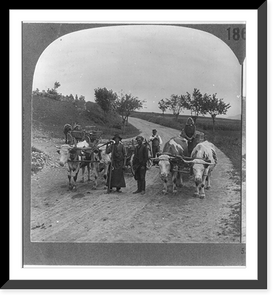 Primitive methods of transportation still prevailing in rural Hungary, Vintage Print