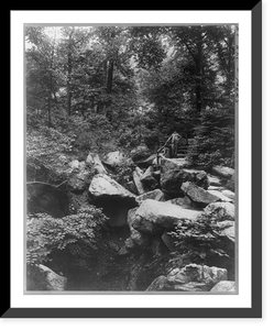 Antique Scenic Print - New York City - Central Park: The Ramble (3)