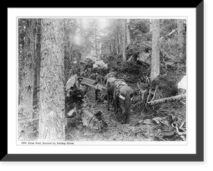 Alaska: Dyea Trail blocked by falling horse, Historic Reproduction