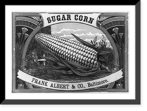 Historic Framed Print, Sugar corn, Frank Albert & Co., Baltimore,  17-7/8" x 21-7/8"